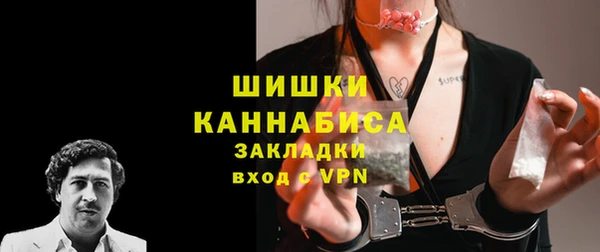 mdpv Белокуриха