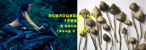 jwh Богородск